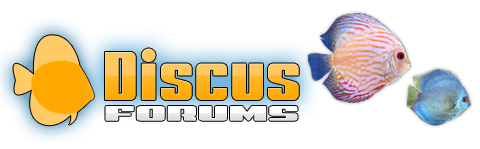 Discus Forums - Powered by vBulletin